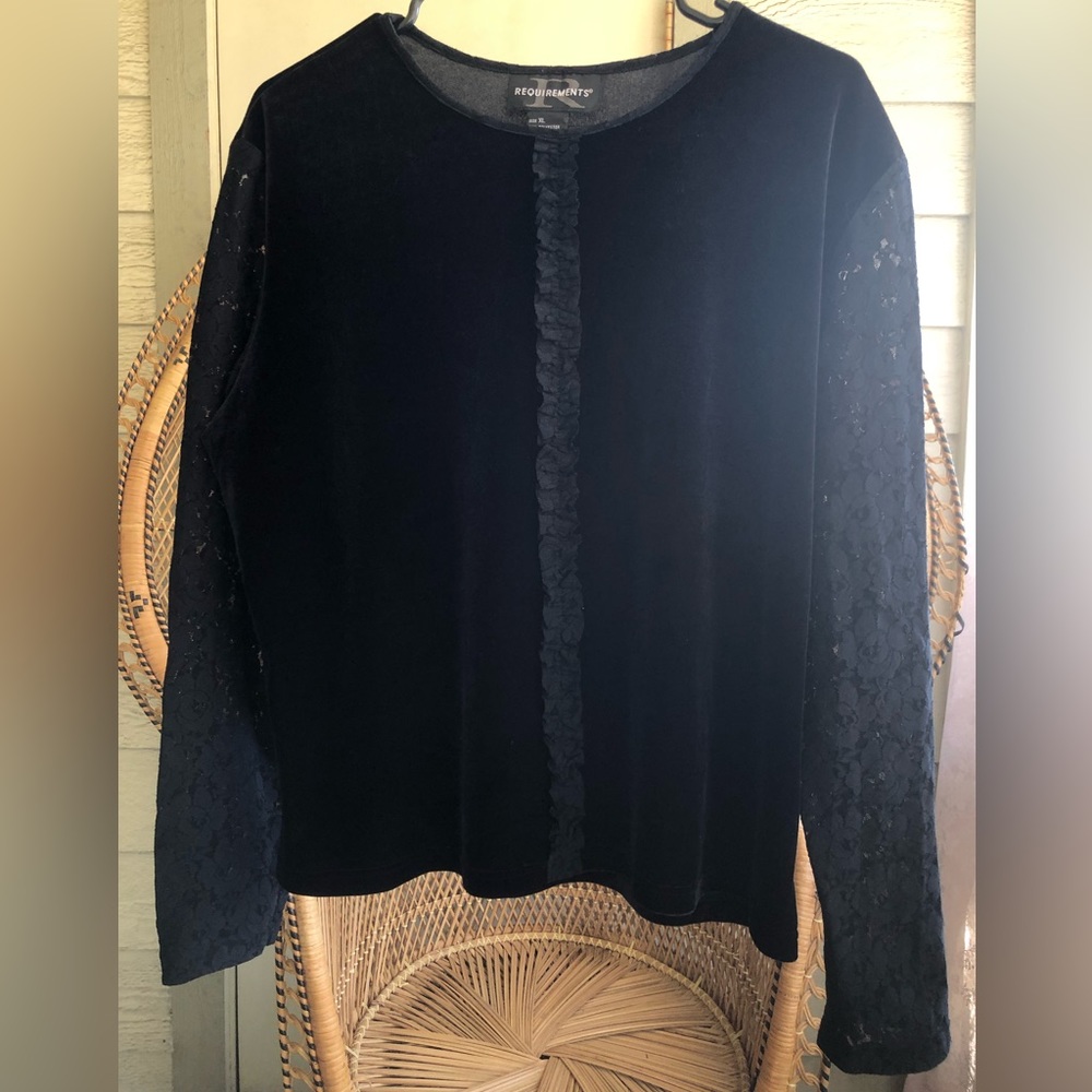 Vintage Requirements Black Mesh Lace Sleeve Stretch Velvet Top 90s/Y2K